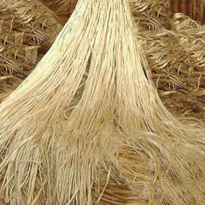 RAW JUTE