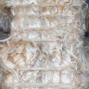 RAW JUTE