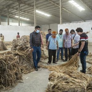 RAW JUTE