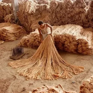 RAW JUTE